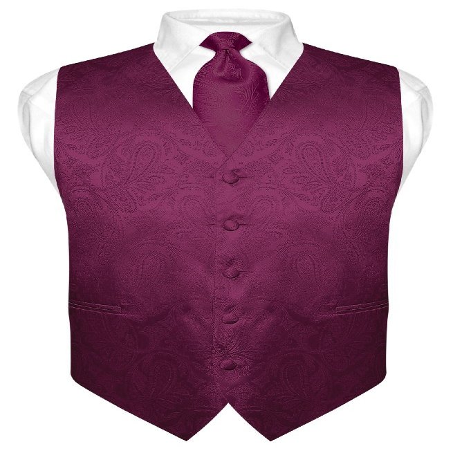 Vesuvio Napoli Men's Paisley Design Dress Vest & NeckTie EGGPLANT PURPLE Neck Tie Set sz L
