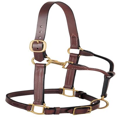 Weaver Leather HLTR 3-IN-1 3/4"WEAN SNAP