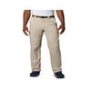 Columbia Men's Silver Ridge Cargo Pant, Fossil, 32W x 32L view 1