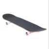 Element Seal,Assorted,8.0 view 4