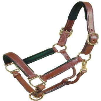 Tory Leather 1" Padded Halter with Brass Hardware