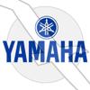 #821 OEM Yamaha Marine Outboard 800 Series Replacement Key 90890-56016-00 view 2