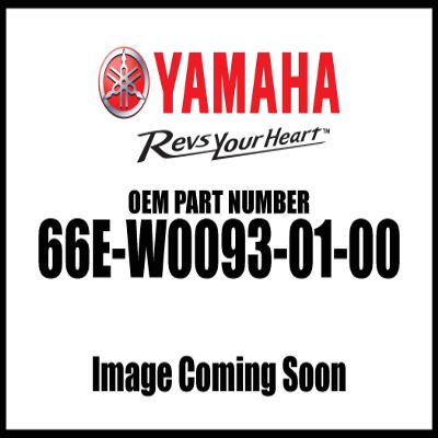 Yamaha 66E-W0093-01-00 Carburetor REPAir; Outboard Waverunner Sterndrive Marine Boat Parts