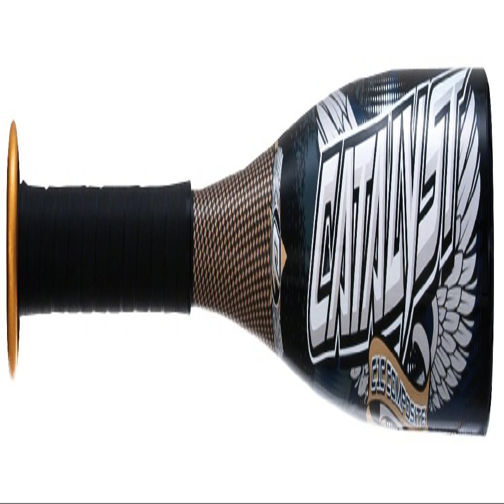 Louisville Slugger 2012 TPX SL12C Catalyst (-11) 2 58-Inch Baseball Bat (30-Inch, 19-Ounce)