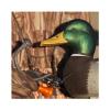 Avery GHG Braided Abrasion Resistant Non-Stretching Tangle-Free Poly Woven Rigging Duck Decoy Cord | 100 Foot (81100) view 2