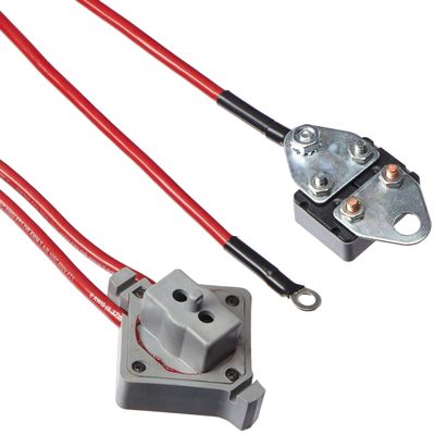 Dutton-Lainson Company 24907 12V DC Boat Lift Winch