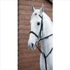 Hy Market Harborough-Brown Cob/Full view 1