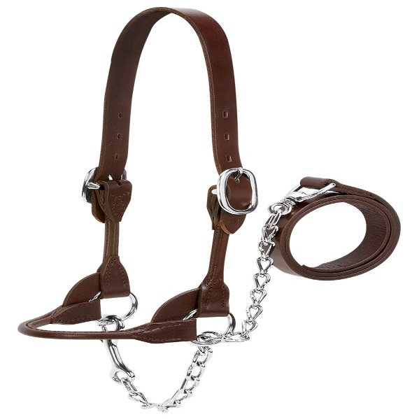 Weaver Leather Livestock Dairy/Beef Rounded Show Halter, Brown, X-Small