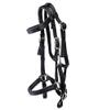 Triple E Nylon Padded Halter Trail Bridle Black view 1