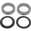 Campagnolo Power-Torque Bottom Bracket Bearings & Seals, One Size view 1
