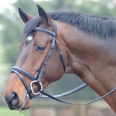 Cottage Craft Oxford Bridle With Rubber Reins (Pony) (Black)
