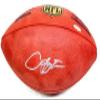 Arian Foster Autographed Football - TRISTAR - Autographed Footballs view 1