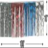 Fun Express Red White and Blue Foil Fringe Banner (100 Feet, 10-Pack) Metallic Tinsel Garland Streamers, Patriotic 4th of July Decorations, Independence Day Parade Float, Memorial Day Party Supplies view 2