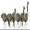 Flambeau Outdoors 8990FBU Storm Front 2 Canada Goose Decoys, Full Body Flocked Heads - 6-Pack view 1