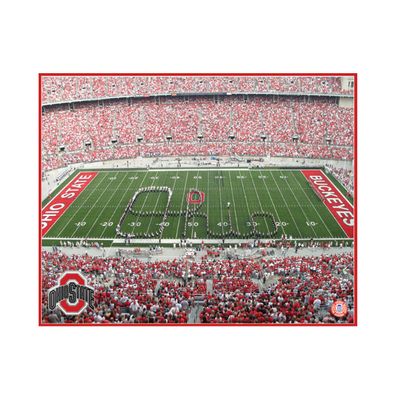 NCAA Ohio State Buckeyes Artissimo Field 22x28 Canvas