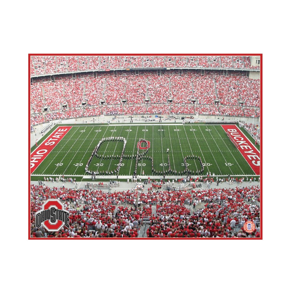 NCAA Ohio State Buckeyes Artissimo Field 22x28 Canvas