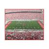 NCAA Ohio State Buckeyes Artissimo Field 22x28 Canvas view 1