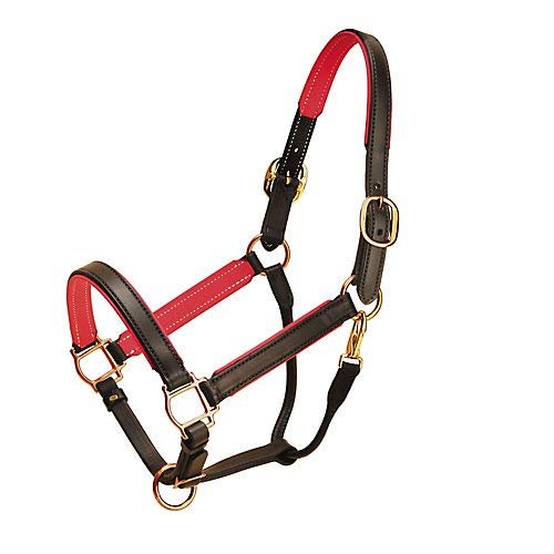 Tory Padded Leather Halter Warmblood Black/Pink