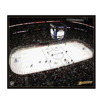 NHL Los Angeles Mighty Ducks Arena 22x28 Canvas Art