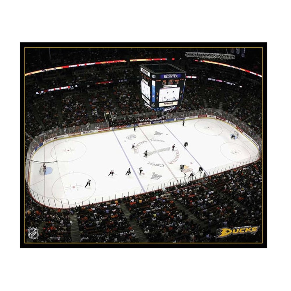 NHL Los Angeles Mighty Ducks Arena 22x28 Canvas Art