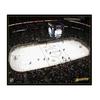 NHL Los Angeles Mighty Ducks Arena 22x28 Canvas Art view 1