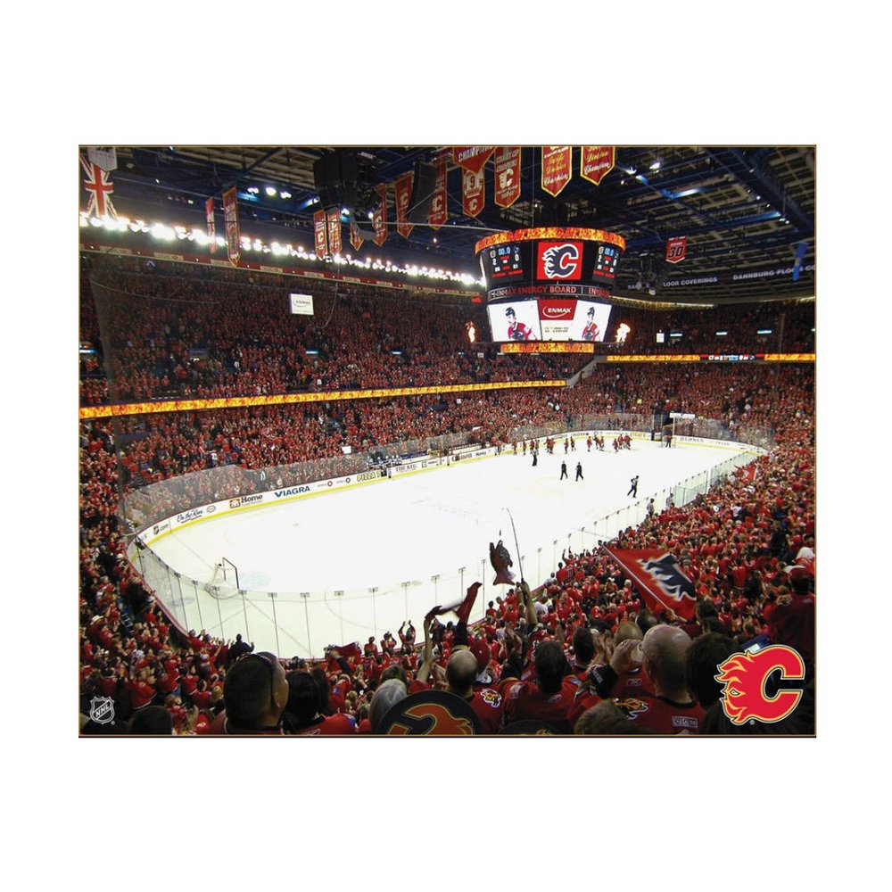 NHL Calgary Flames Arena 22x28 Canvas Art
