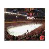 NHL Calgary Flames Arena 22x28 Canvas Art view 1