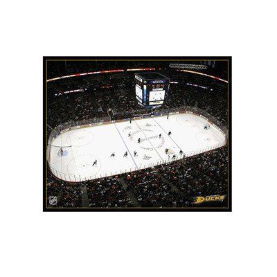 NHL Carolina Hurricanes Arena 22x28 Canvas Art