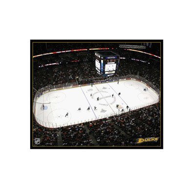 NHL Carolina Hurricanes Arena 22x28 Canvas Art