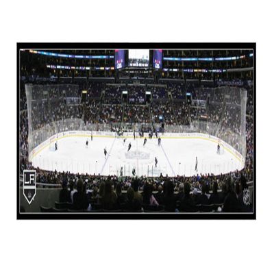 NHL Los Angeles Lakers Arena 22x28 Canvas Art
