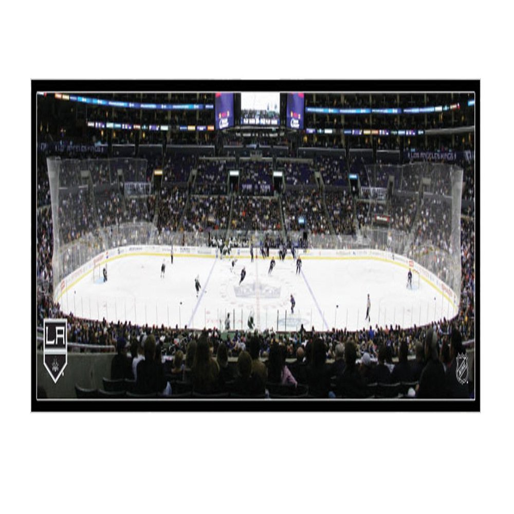 NHL Los Angeles Lakers Arena 22x28 Canvas Art
