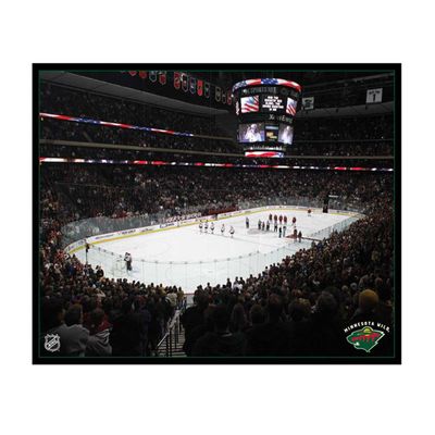 NHL Minnesota Wild Arena 22x28 Canvas Art