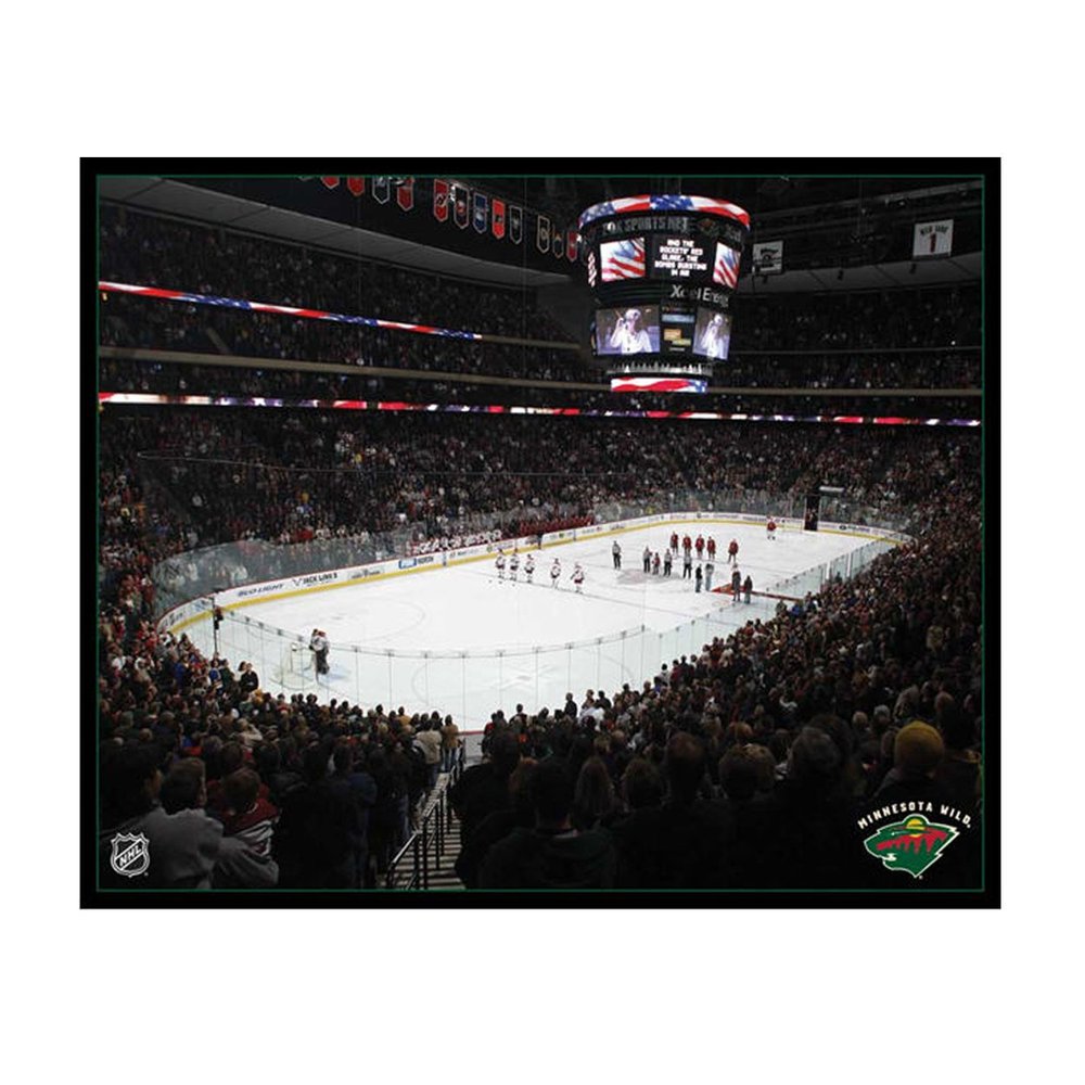 NHL Minnesota Wild Arena 22x28 Canvas Art