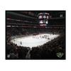 NHL Minnesota Wild Arena 22x28 Canvas Art view 1