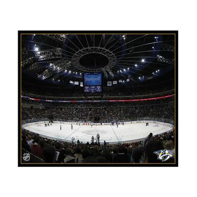 NHL Nashville Predators Arena 22x28 Canvas Art