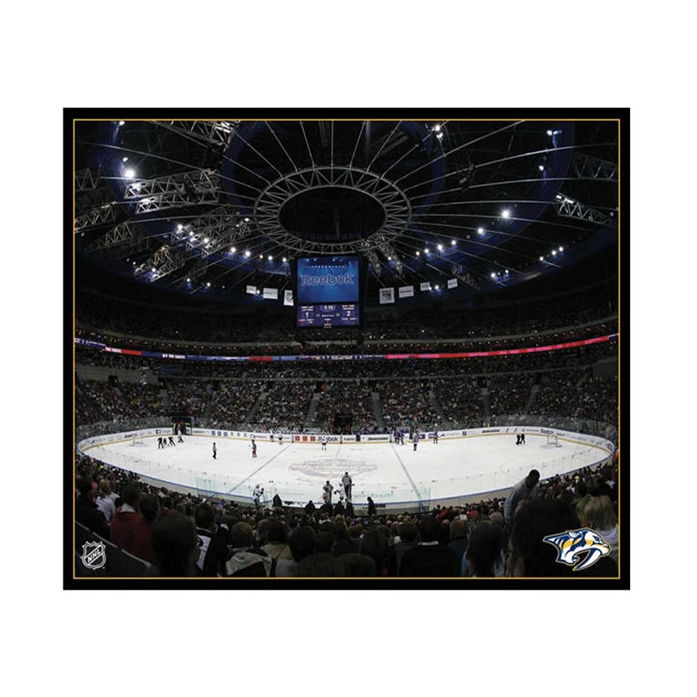 NHL Nashville Predators Arena 22x28 Canvas Art