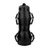 Century Cage Fitness 40lb Bag view 2