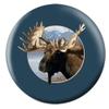 Bowlerstore Products Moose Bowling Ball- by Michael Steve (14lbs) view 1