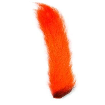 Kip Tail
