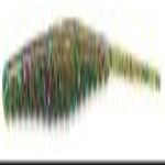 Gambler Shakey Shad 4" (Green Pumpkin Watermelon Candy)