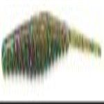 Gambler Shakey Shad 4" (Green Pumpkin Watermelon Candy)