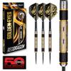 RED DRAGON Darts  Golden Eyes  32g Professional 85% Tungsten Darts Set with Dart Flights and Dart Shafts (Stems) view 1