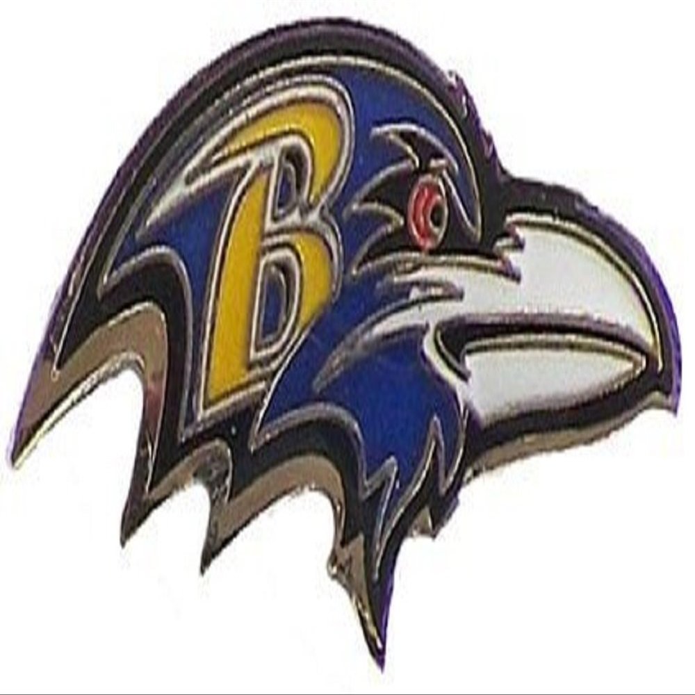 aminco NFL Baltimore Ravens Team Logo Pin, team color, "1.0""-1.5"" x 1.0-1.5""" (NFL-PN-001-31)