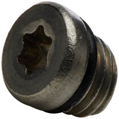 Avid Reservoir Bleed Screw/O-Ring Stainless, 11.5215.019.000-20 Pieces