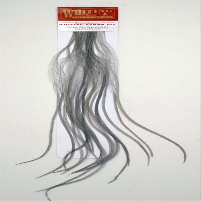 100 Pack by Whiting Farms