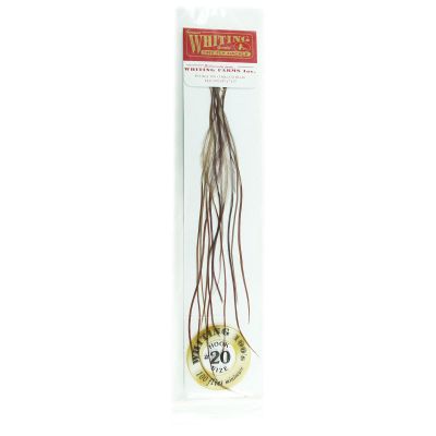 Whiting Farms 100's Saddle Hackle Pack Brown Size 20