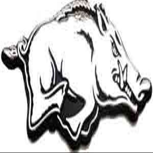Arkansas Razorbacks Chrome METAL Auto Emblem