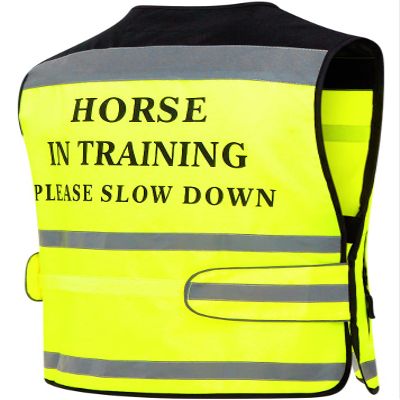 Equisafety 'Horse in Training' Air Reflective Waistcoat Small Yellow
