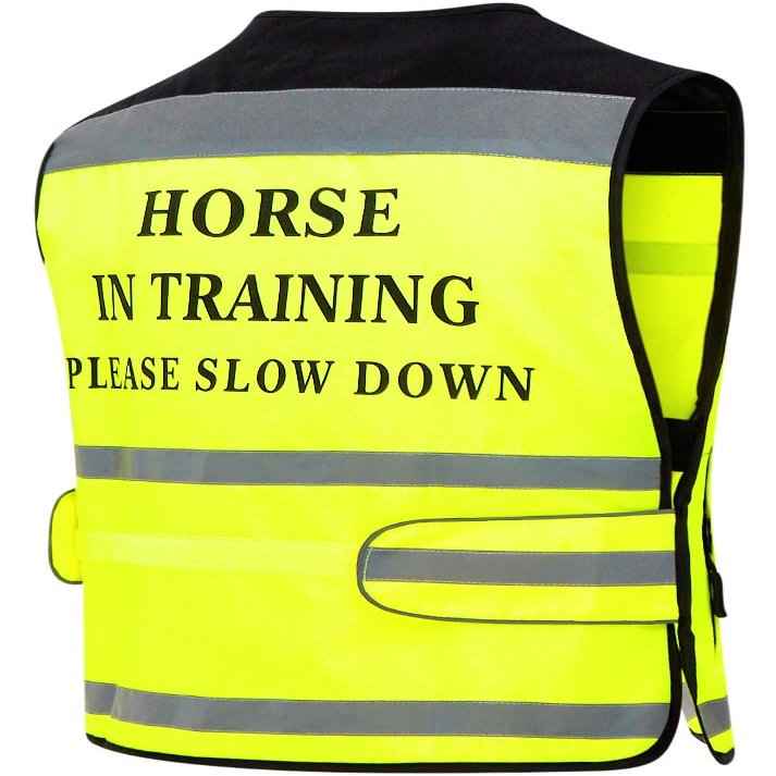 Equisafety 'Horse in Training' Air Reflective Waistcoat Small Yellow