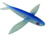 5 CITIES BFF-BLU Ballistic Flying Fish view 1